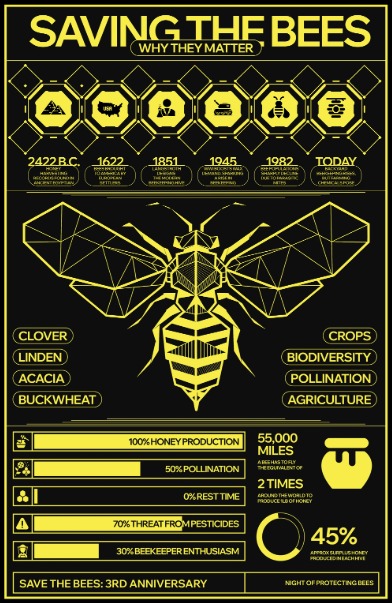 Advanced Infographics 10